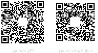 Launch APP、Launch No Public